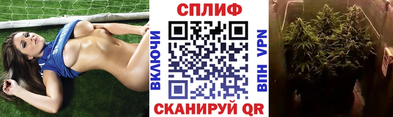 Канабис сатива  Шали 